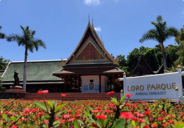 Loro Parque en Tenerife